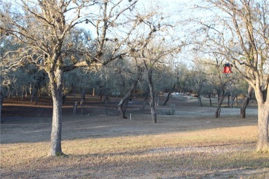 This 4.3 acre fenced property with Frio River frontage, a - photo 7