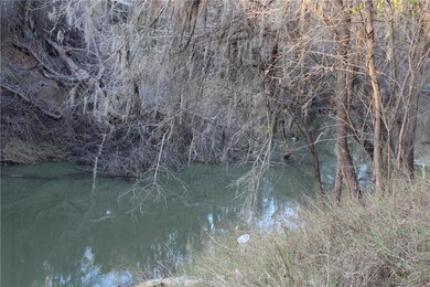 This 4.3 acre fenced property with Frio River frontage, a - photo 9