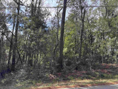 Lake Lot For Sale in Tallahassee, Florida