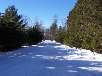 Welcome to Eagle Deer Reserve! A shared lake access community - photo 22