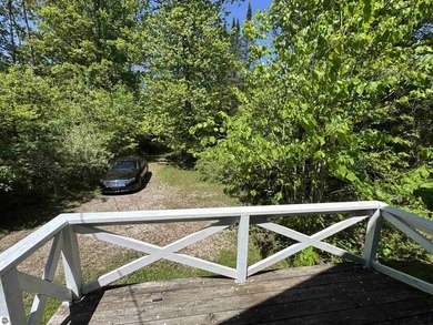 Nestled along the beautiful Rifle River, this charming - photo 22