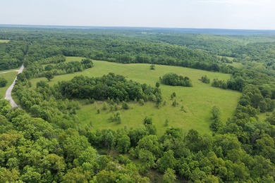 This is a really nice Benton county farm really close to Lake of - photo 34