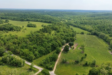 This is a really nice Benton county farm really close to Lake of - photo 35