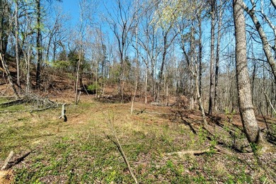 Dont miss this opportunity to own 7.24 acres, a 4 bedroom 3 1/2 - photo 44