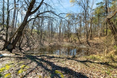 Dont miss this opportunity to own 7.24 acres, a 4 bedroom 3 1/2 - photo 45