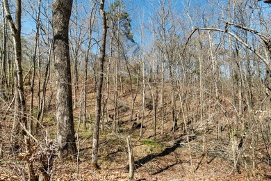 Dont miss this opportunity to own 7.24 acres, a 4 bedroom 3 1/2 - photo 46
