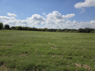 Cleared Beautiful Lakeview lot ready for your home build - photo 21