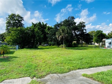 Cape Coral Lakes and Canals Lot For Sale in North Fort Myers Florida
