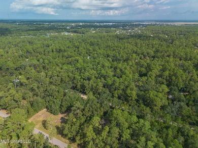 Two Stunning Lots to build Your Dream Home or Investment - photo 11