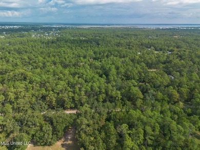Two Stunning Lots to build Your Dream Home or Investment - photo 12