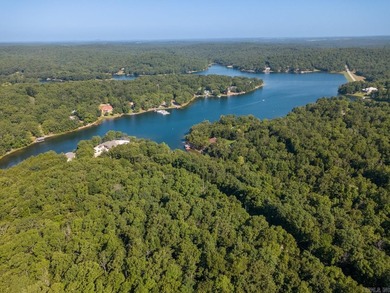 Welcome to the market this beautiful lot on Lake Omaha, in the - photo 14