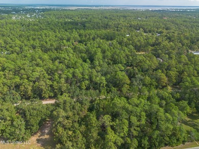 Two Stunning Lots to build Your Dream Home or Investment - photo 14