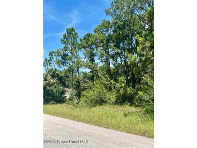 One of TWO side by side lots available! This NW lot is in a - photo 4