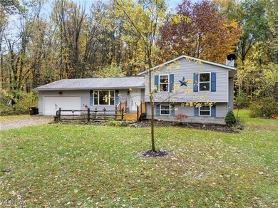Berlin Lake Home For Sale in Deerfield Ohio