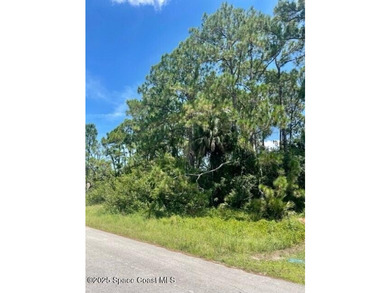 Rare! TWO side by side lots. Located just one block from the - photo 1