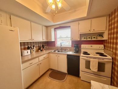 Elegantly decorated 2 bedroom 2 bath Villa located in the 55+ - photo 4
