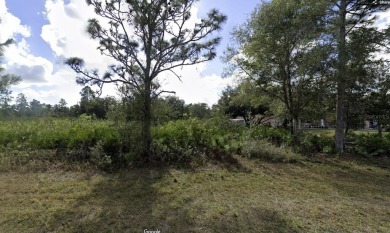 Lake Lot For Sale in Indian Lake Estates, Florida
