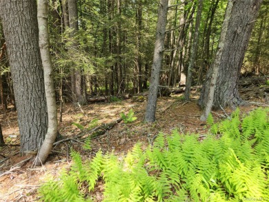 (private lake, pond, creek) Acreage For Sale in Eldred New York