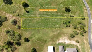 Cleared Beautiful Lakeview lot ready for your home build - photo 17