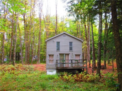 Lake Home For Sale in Edmeston, New York