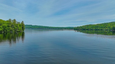 Discover the perfect blend of privacy and lakefront living in - photo 34