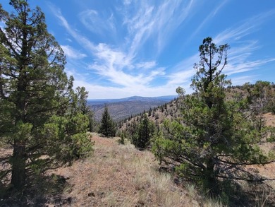 Prineville Reservoir Acreage For Sale in Prineville Oregon