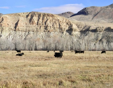Salmon River - Custer County Home For Sale in Challis Idaho