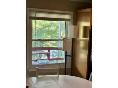 Rare Walk-to-the-Water Nolin Lake Waterfront! - photo 17