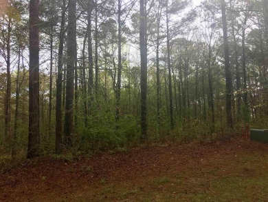 Lake Lot For Sale in Eatonton, Georgia