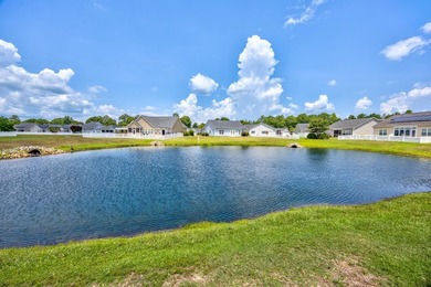 Well maintained & well cared for single level Edisto Model by - photo 41