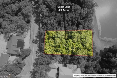 Lake Lot For Sale in Saint Marys, Georgia