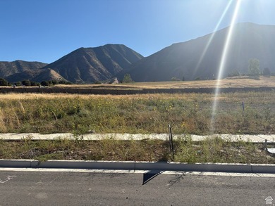 This .38 acre lot offers a wonderful view of Loafer Mountain to - photo 1