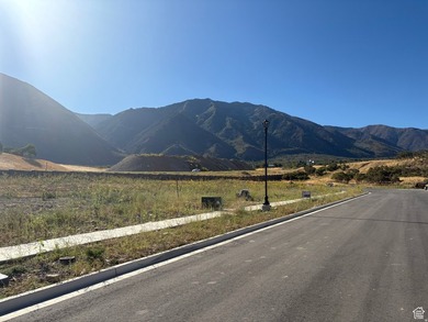 This .38 acre lot offers a wonderful view of Loafer Mountain to - photo 3