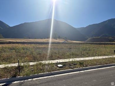 This .38 acre lot offers a wonderful view of Loafer Mountain to - photo 4