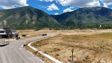 This .38 acre lot offers a wonderful view of Loafer Mountain to - photo 8