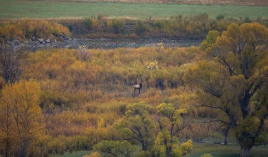 (private lake, pond, creek) Acreage For Sale in Craig Colorado