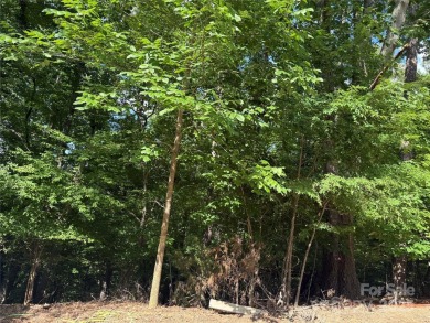 Lake Lot Sale Pending in Tega Cay, South Carolina
