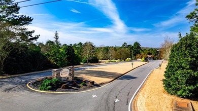 Stunning New Craftsman Construction - Main Level Living at its - photo 43