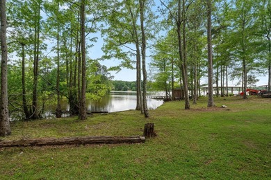 WATERFRONT + WORKSHOP + NEW PIER... This move-in ready 3BR/2BA - photo 46