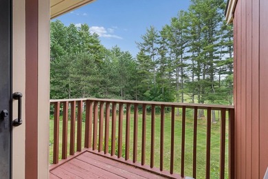 Bright, sun-filled second floor condo in Manchester, ME - 1,800 - photo 8