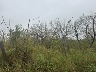 Lake Acreage For Sale in Mathis, Texas