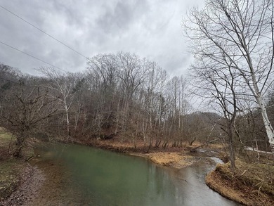 Spencer WV, 7.37 acre mostly wooded land at the confluence of - photo 11