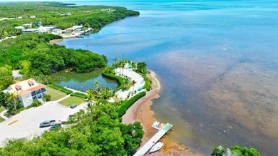 Huge Direct Oceanfront Compound - One-of-a-Kind with 276-Foot - photo 11