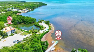 Huge Direct Oceanfront Compound - One-of-a-Kind with 276-Foot - photo 12
