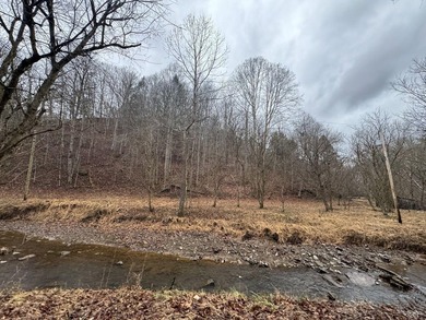 Spencer WV, 7.37 acre mostly wooded land at the confluence of - photo 13