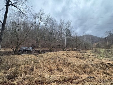 Spencer WV, 7.37 acre mostly wooded land at the confluence of - photo 15
