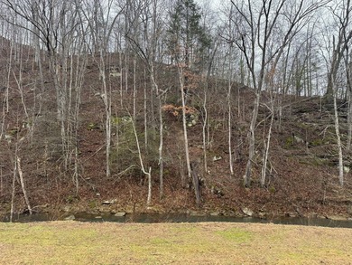 Spencer WV, 7.37 acre mostly wooded land at the confluence of - photo 16