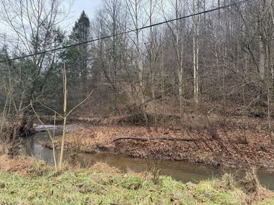 Spencer WV, 7.37 acre mostly wooded land at the confluence of - photo 17