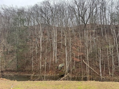 Spencer WV, 7.37 acre mostly wooded land at the confluence of - photo 18