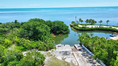 Huge Direct Oceanfront Compound - One-of-a-Kind with 276-Foot - photo 25